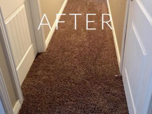 Hallway after carpet- repair from Pet Damage