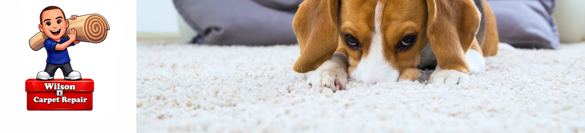 Wilson Carpet Repair Kids Pets Life Happens2